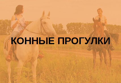Конные прогулки